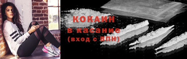 дмт Дмитровск