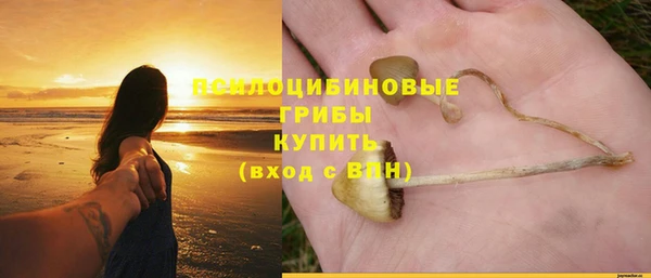 дмт Дмитриев