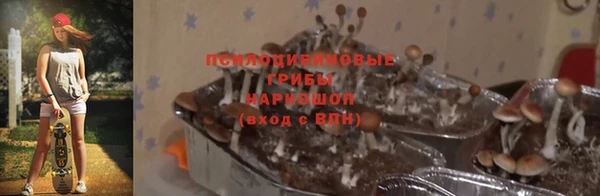 альфа пвп Дмитров