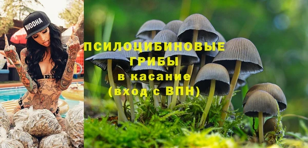 дмт Дмитровск