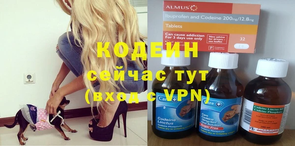 дмт Дмитровск
