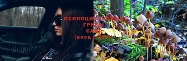 дмт Дмитровск