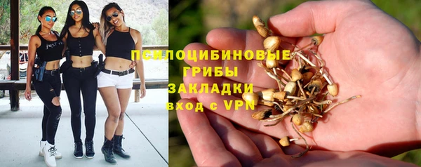 дмт Дмитровск